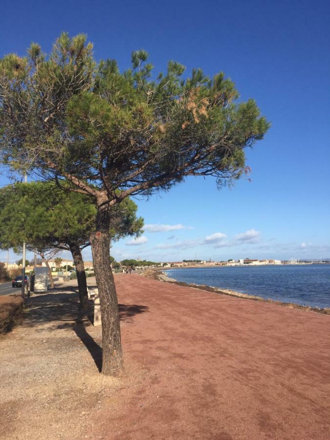 La Scribote Apartment Marseillan  Bagian luar foto